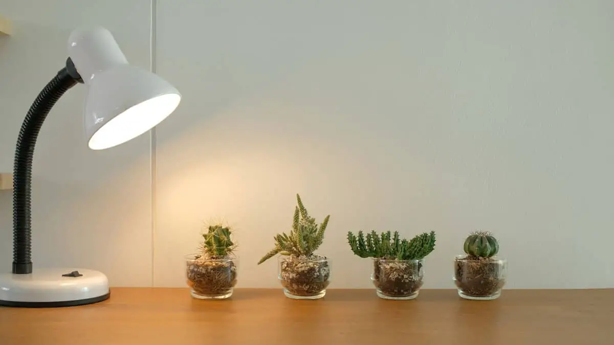 Know The Best CFL Grow Light Setup