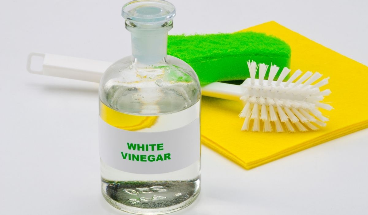 White Vinegar Natural Bug Repellent For Plants