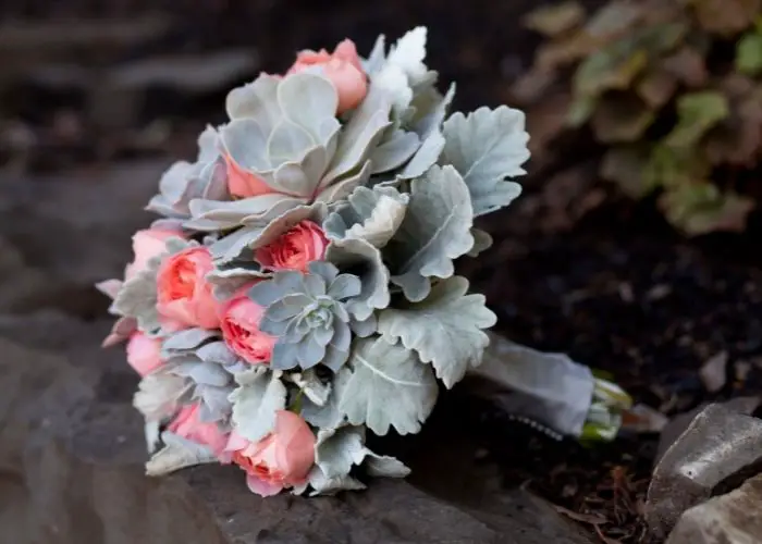  succulent wedding bouquet