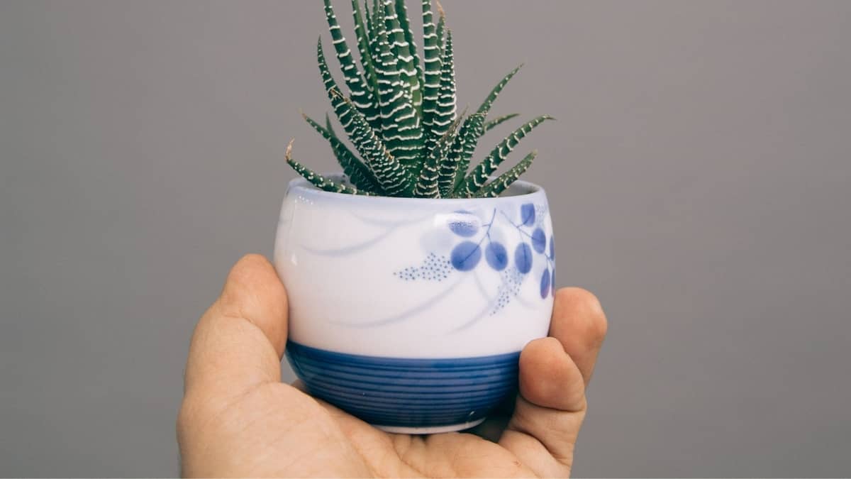 How To Make A Hole In A Ceramic Pot Without A Drill2