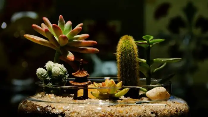 there are stylish grow lights that can go well with your terrariums