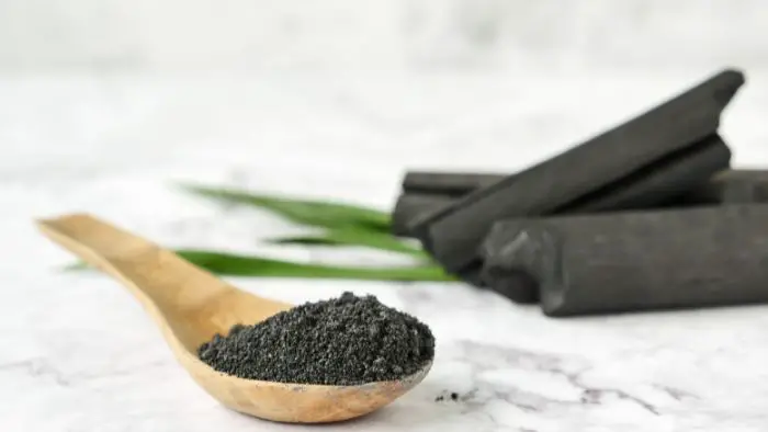  What type of charcoal is best for plants?